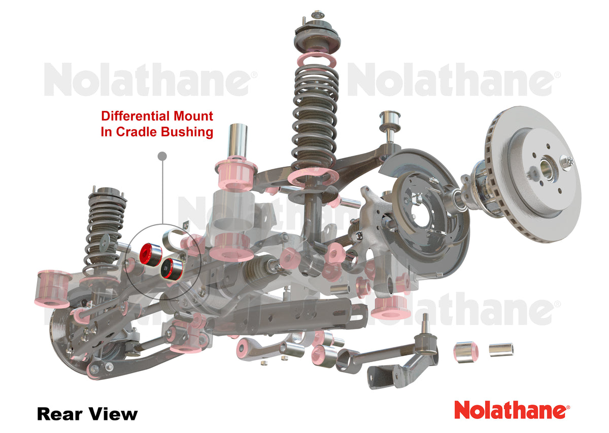 Nolathane Rear Diff Mount Bushings Replacement Nolathane USA